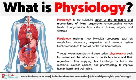 physiologisch synonym|physiological meaning.